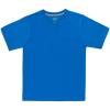 Palace Blue